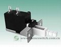 Shanghai Sinmar Electronics PS4 Power Switch Series Basic Form 2PIN Switches 4