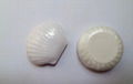 round and shell soaps 1