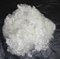 Polyester staple fiber 1