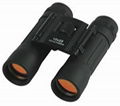 2014 10X25 binoculars