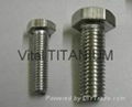 Titanium Hex Head Bolts