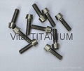 Titanium Taper Socket Head Bolts