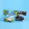High Quality Customize Printing Plastic Grape Bags Stand up Zip Pouch
