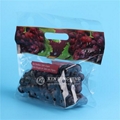 High Quality Customize Printing Plastic Grape Bags Stand up Zip Pouch 3