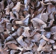 Palm oil kernel shell