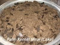 palm kernel cake