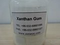 Oil Drilling Grade Xanthan Gum--Class A  /B/C/D 1