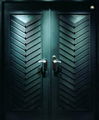 aluminium door luxurious door 3