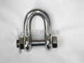 Stainless steel shackle 1