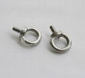 Stainless steel ring screw 1