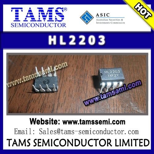 HL2203 - HL 220 type platinum sensors are characterised by long-term stability