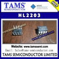 HL2203 - HL 220 type platinum sensors are characterised by long-term stability