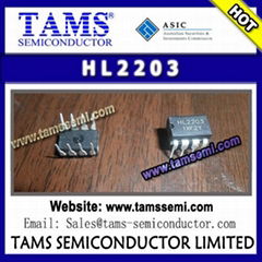 HL2203 - HL 220 type platinum sensors are characterised by long-term stability