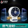 Gas timer 1