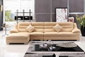 genuine  leather  sofa