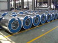 Galvanized Steel Coil  1