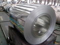 Hot Dipped Galvanized Steel