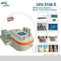 2014 hot sale 14 paddles dual wave lipo laser slimming machines with 26 lamps 1