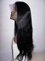 Indian Remy Hair  5