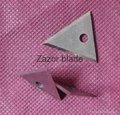 Special-shaped blade Triangular blade 1