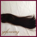 Human Hair Extension 3