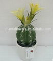 2014 high nature potted artificial plants & succulent & cactus with flowers