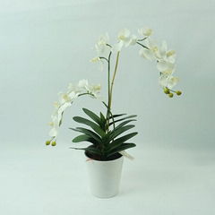 Natural looking real touch artificial flowers pottd silk yellow orchid