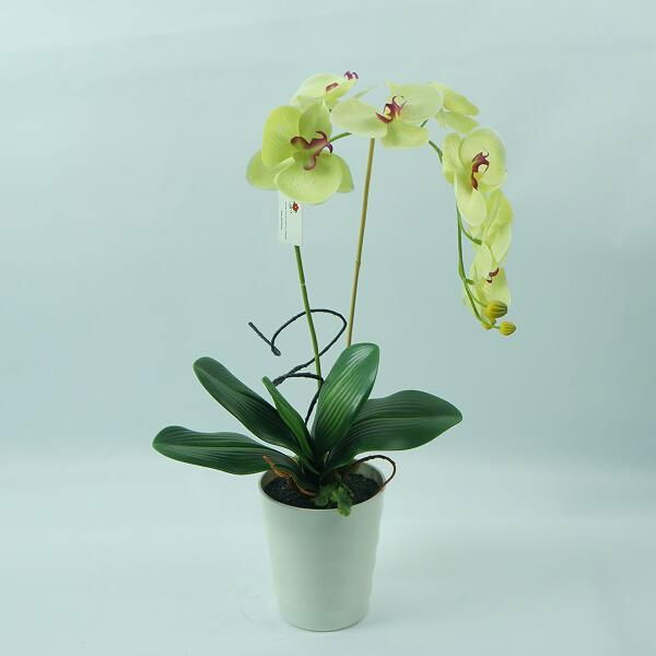 Natural looking real touch artificial flowers pottd silk yellow orchid 2