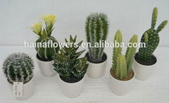 high quality potted artificial plants & cactus & succulent series