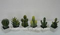 Factory direct selling Potted mini artificial cactus 1