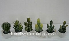 Factory direct selling Potted mini artificial cactus