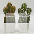 Factory direct selling Potted mini artificial cactus 2