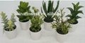 2014 high nature potted artificial plants & cactus & succulent series 1