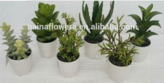 2014 high nature potted artificial plants & cactus & succulent series