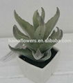 Best selling cheap mini artificial potted aloe plant 1