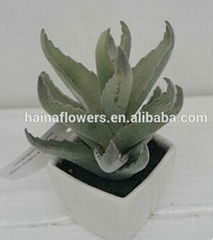 Best selling cheap mini artificial potted aloe plant