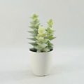 Natural looking Potted artificial plants succulent plants 2