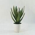 Potted cheap artificial plants Chinese