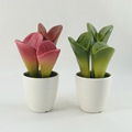 2014 best selling artificial succulents wholesale for indoor decoration 1