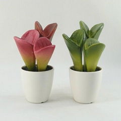 2014 best selling artificial succulents wholesale for indoor decoration