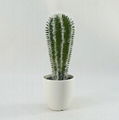 2014 best selling artificial succulents wholesale for indoor decoration 2