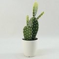 2014 best selling artificial succulents wholesale for indoor decoration 3