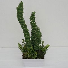 whole sale real touch artificial cactus with high quality