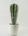 est selling decorative artificial plants cactus bonsai wholesale 1