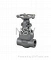 Forged Gate Valve