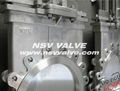 SS Knife Gate Valve 2