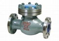 Swing Check Valve