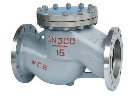 Swing Check Valve 5