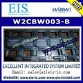 W2CBW003-B - WI2WI - 802.11 b/g