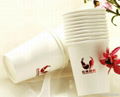 Yuanchuan Paper Cups